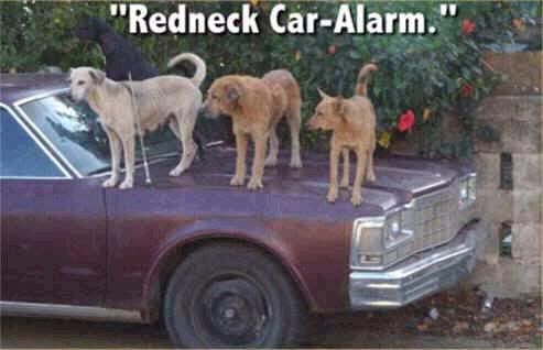 redneck20car20alarm.jpg