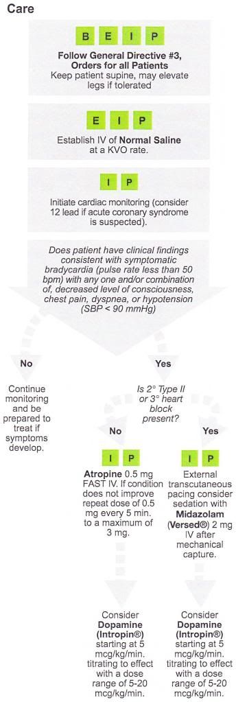 What Is Bradycardia