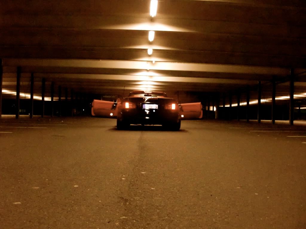 [Bild: CIMG0150.jpg]