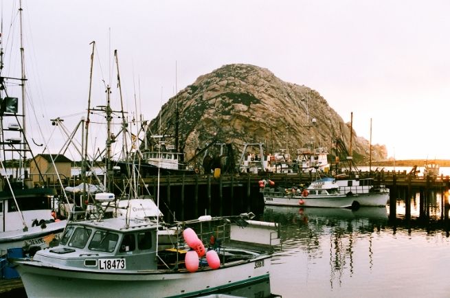  photo 00410011_zps69305161.jpg