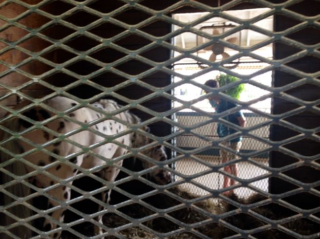 photo photo3104535_zps485f1e3f.jpg