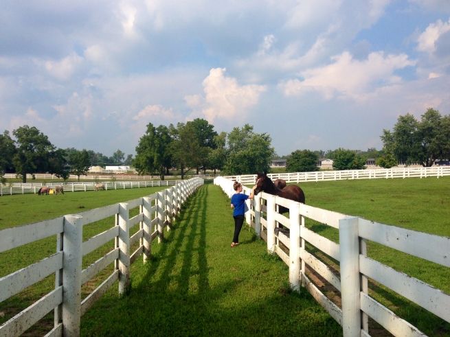 photo photo572324_zps7e72e7b6.jpg