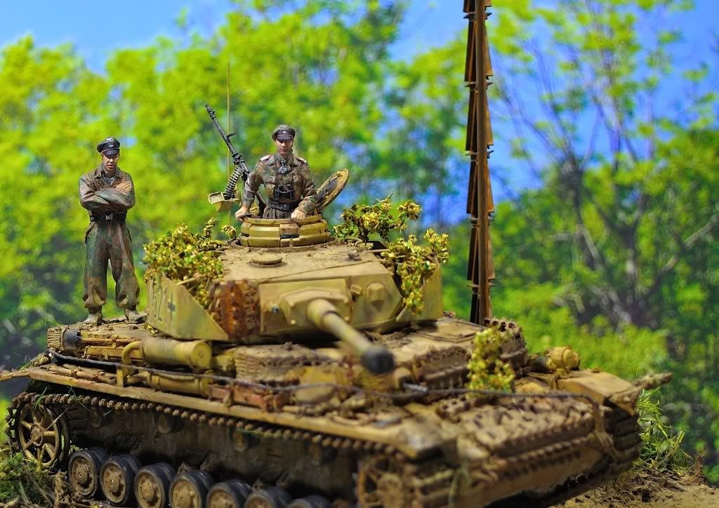 pziv-3.jpg