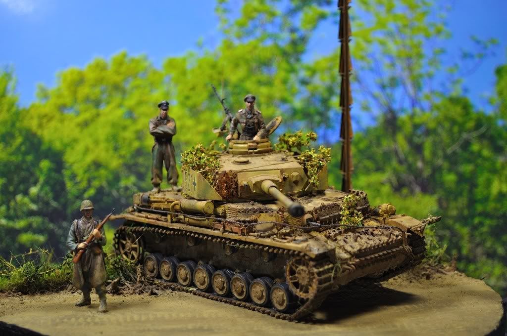 pziv-4.jpg