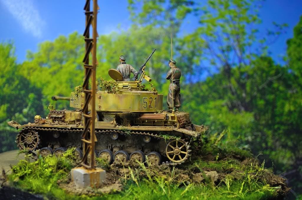 pziv-9.jpg