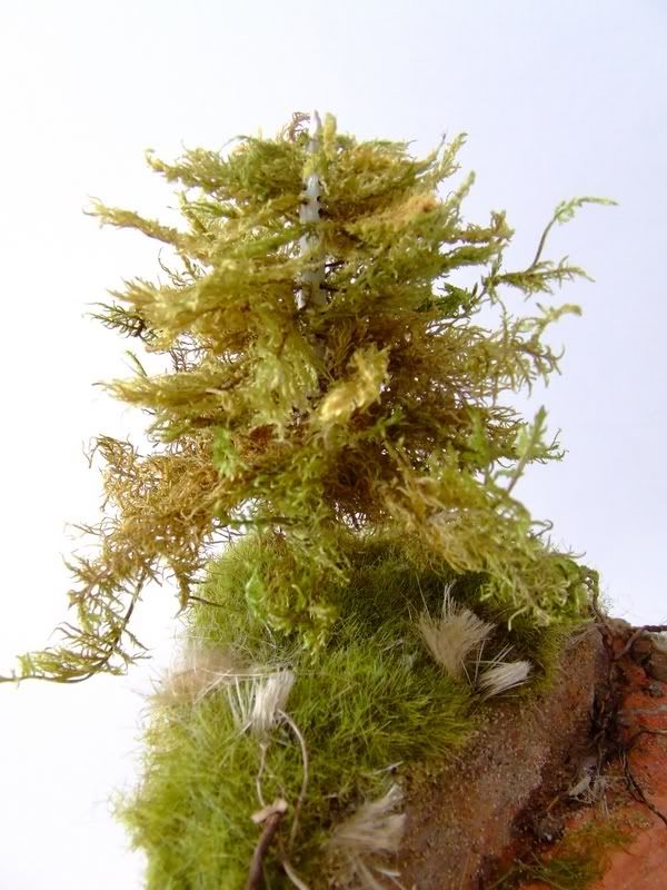 pins-autrichien3.jpg