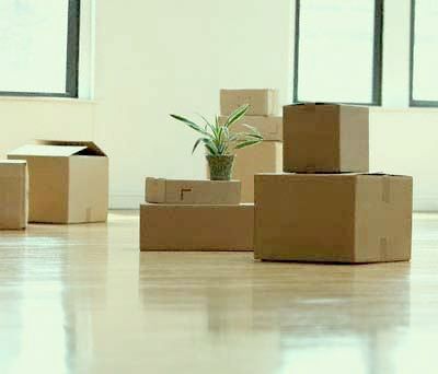 Packers Movers (c) vkshainex miami movers for less reviews