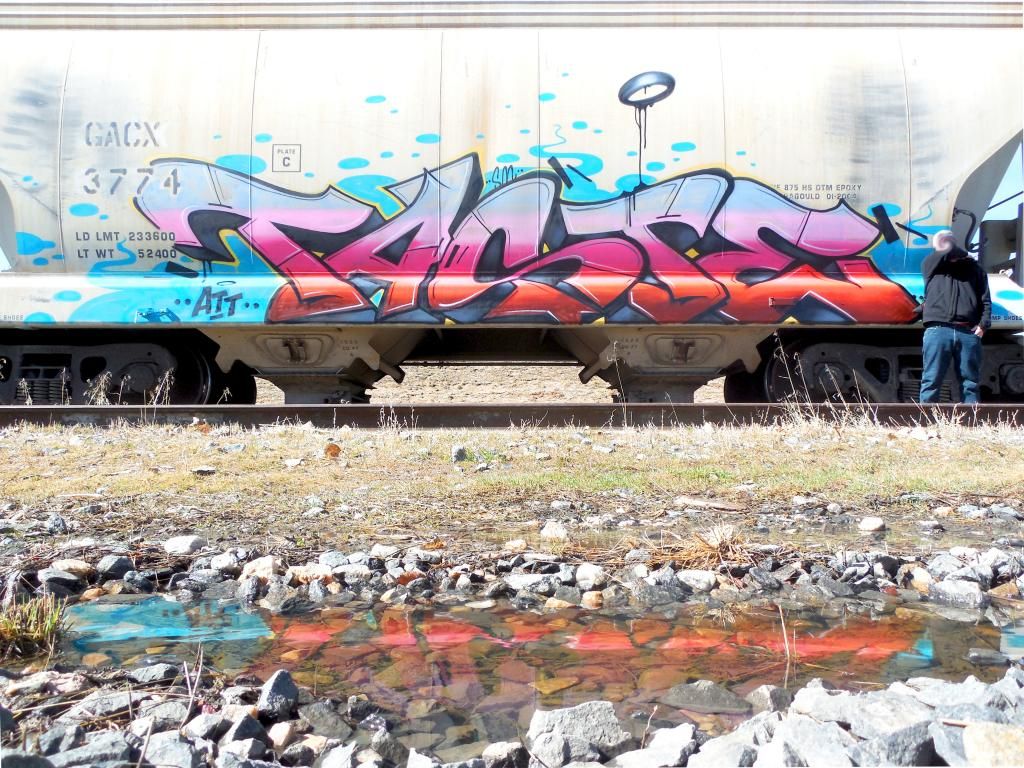 dolohopper_zps827eaaa7.jpg