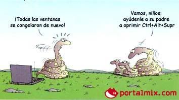 graciosas graciosas