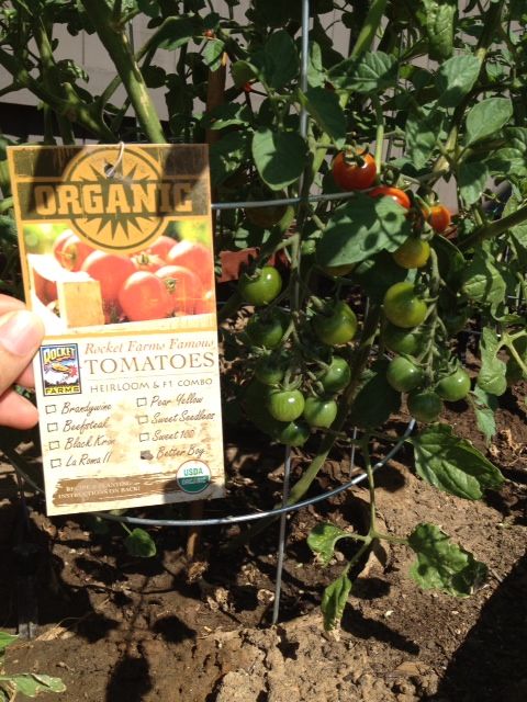 better boy photo betterboy_zps148a0e3e.jpg