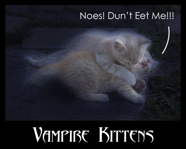Vampire_Kittens_by_EmpressOfNoneckia.png