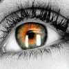 eyes Pictures, Images and Photos